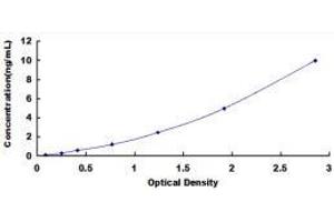 Phospholamban (PLN) ELISA Kit