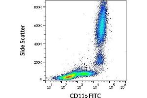 Flow cytometry surface staining pattern of human peripheral whole blood stained using anti-human CD11b (ICRF44) FITC antibody (4 μL reagent / 100 μL of peripheral whole blood).