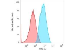 Flow Cytometric Analysis of Human HeLa cells using Smooth Muscle Actin Mouse Monoclonal Antibody (1A4) followed by Goat anti-Mouse IgG-CF488 (Blue); Isotype control (Red). (Smooth Muscle Actin 抗体  (N-Term))
