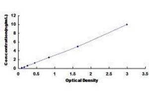 Glycine Dehydrogenase (GLDC) ELISA Kit