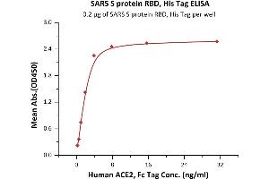 Immobilized SARS S protein RBD, His Tag (ABIN6952627) at 2 μg/mL (100 μL/well) can bind Human ACE2, Fc Tag (ABIN6952465) with a linear range of 0. (SARS-CoV Spike Protein (RBD) (His tag))