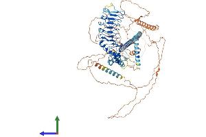 Protein Structure (PS) image for Centrosomal Protein 97kDa (CEP97) (AA 1-856) protein (His tag) (ABIN7564963)