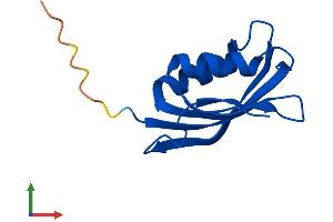 Protein Structure (PS) image for Acylphosphatase 2, Muscle Type (Acyp2) (AA 1-106) protein (His tag) (ABIN7556470)
