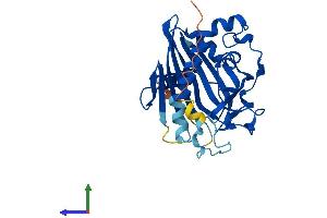 Protein Structure (PS) image for StAR-Related Lipid Transfer (START) Domain Containing 10 (STARD10) (AA 1-291) protein (His tag) (ABIN7550636)