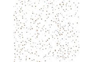 Immunocytochemistry (ICC) image for anti-Serum Response Factor (SRF) (AA 25-75) antibody (ABIN7795719)