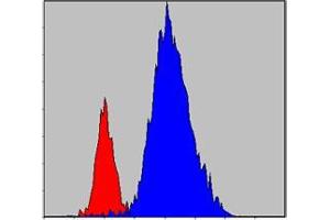 Flow cytometric analysis of Hela cells using JAK3 mouse mAb (blue) and negative control (red). (JAK3 抗体)