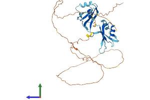 Protein Structure (PS) image for Musashi Homolog 2 (MSI2) (AA 1-346) protein (His tag) (ABIN7560184)