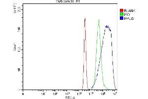 Flow Cytometry analysis of K562 cells using anti-RPL32 antibody (ABIN7602916). (RPL32 抗体  (C-Term))