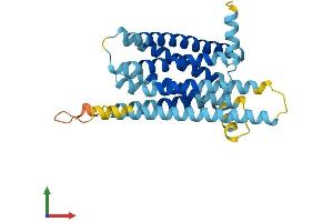 AlphaFold protein structure predicition of Mouse Recombinant Tas2r4 Protein, UniprotID Q9JKT3