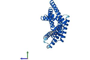 Protein Structure (PS) image for 14-3-3 zeta (YWHAZ) (AA 1-245) protein (His tag) (ABIN7556645)