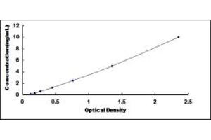 Typical standard curve (SETD7 ELISA 试剂盒)