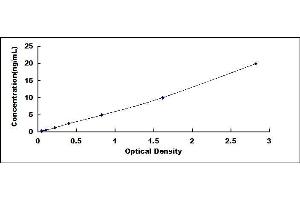 Typical standard curve (PRSS33 ELISA 试剂盒)