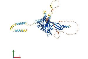 Protein Structure (PS) image for Ubiquitin Specific Peptidase 30 (Usp30) (AA 1-517) protein (His tag) (ABIN7555908)