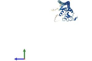 Protein Structure (PS) image for Asialoglycoprotein Receptor 1 (ASGR1) (AA 1-291) protein (His tag) (ABIN7552349)