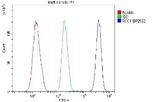 Flow Cytometry analysis of K562 cells using anti-RCC1 antibody (ABIN7600024). (RCC1 抗体  (AA 14-421))