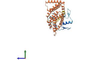 Protein Structure (PS) image for Zinc Finger Protein 781 (ZNF781) (AA 1-355) protein (His tag) (ABIN7545693)