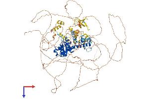 OTUD4 Protein (AA 1-1114) (His tag)