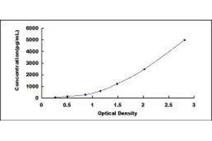 Growth Differentiation Factor 9 (GDF9) ELISA Kit