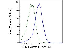 Validation of LSM1 knockdown using flow cytometry. (LSM1 抗体)
