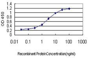 Detection limit for recombinant GST tagged ZNF345 is approximately 0. (ZNF345 抗体  (AA 1-111))