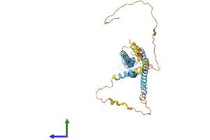 Protein Structure (PS) image for Gap Junction Protein, alpha 5, 40kDa (GJA5) (AA 1-358) protein (His tag) (ABIN7546926)