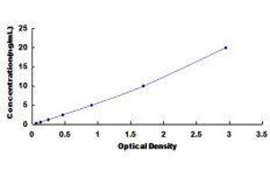 Myosin Heavy Chain 3, Skeletal Muscle, Embryonic (MYH3) ELISA Kit