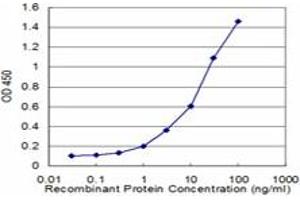 Detection limit for recombinant GST tagged CES2 is approximately 1ng/ml as a capture antibody. (CES2 抗体  (AA 514-621))
