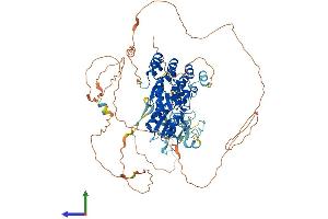 AlphaFold protein structure predicition of Human Recombinant BARD1 Protein, UniprotID Q99728 (BARD1 Protein (AA 1-777) (His tag))