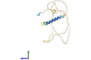 AlphaFold protein structure predicition of Human Recombinant GAP43 Protein, UniprotID P17677 (GAP43 Protein (AA 1-238) (His tag))