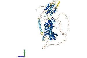 Protein Structure (PS) image for Potassium Voltage-Gated Channel, Subfamily H (Eag-Related), Member 1 (KCNH1) (AA 1-989) protein (His tag) (ABIN7563865)