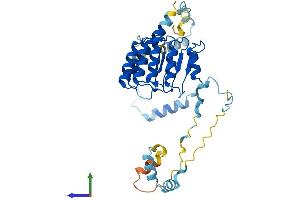 Protein Structure (PS) image for Tropomodulin 3 (TMOD3) (AA 1-352) protein (His tag) (ABIN7561508)