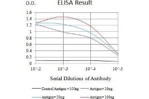Black line: Control Antigen (100 ng),Purple line: Antigen (10 ng), Blue line: Antigen (50 ng), Red line:Antigen (100 ng) (TIM3 抗体  (AA 224-301))