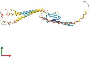 Protein Structure (PS) image for Outer Dense Fiber of Sperm Tails 1 (ODF1) (AA 1-250) protein (His tag) (ABIN7550342)