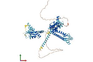 Protein Structure (PS) image for NOP56 Ribonucleoprotein Homolog (NOP56) (AA 1-580) protein (His tag) (ABIN7561060)