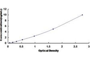 Typical standard curve (Presenilin 2 ELISA 试剂盒)