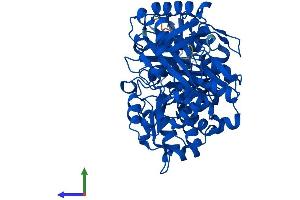 AlphaFold protein structure predicition of Human Recombinant PGM5 Protein, UniprotID Q15124