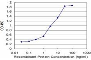 Detection limit for recombinant GST tagged ARHGEF6 is approximately 0. (ARHGEF6 抗体  (AA 61-175))