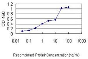 Detection limit for recombinant GST tagged CBX3 is approximately 0. (CBX3 抗体  (AA 1-183))