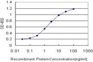 Detection limit for recombinant GST tagged MTF1 is approximately 0. (MTF1 抗体  (AA 41-140))