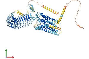 Protein Structure (PS) image for Relaxin/insulin-Like Family Peptide Receptor 2 (RXFP2) (AA 1-754) protein (His tag) (ABIN7555378)