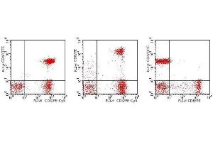Flow Cytometry (FACS) image for anti-CD3/CD4/CD8 antibody (FITC,PE,PE-Cy5) (ABIN2145022) (CD3/CD4/CD8 抗体 (FITC,PE,PE-Cy5))