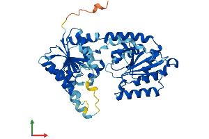 Protein Structure (PS) image for Asparagine-Linked Glycosylation 2, alpha-1,3-Mannosyltransferase Homolog (ALG2) (AA 1-415) protein (His tag) (ABIN7561277)