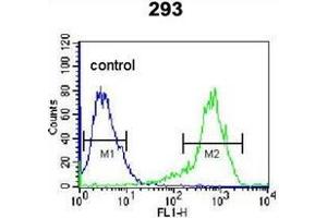 Flow cytometric analysis of 293 cells using KARS Antibody (N-term) Cat. (KARS 抗体  (N-Term))