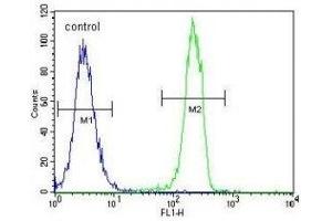 CT45A1 antibody flow cytometric analysis of K562 cells (green) compared to a negative control cell (blue). (CT45A1 抗体  (AA 1-30))