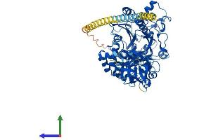 Protein Structure (PS) image for UDP-N-Acetyl-alpha-D-Galactosamine:polypeptide N-Acetylgalactosaminyltransferase 3 (GalNAc-T3) (GALNT3) (AA 1-633) protein (His tag) (ABIN7556717)