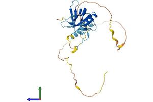 Protein Structure (PS) image for NECAP Endocytosis Associated 2 (NECAP2) (AA 1-266) protein (His tag) (ABIN7560887)