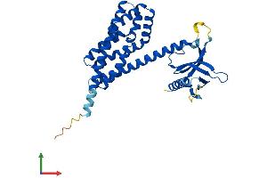 Protein Structure (PS) image for Chromosome 9 Open Reading Frame 100 (C9orf100) (AA 1-335) protein (His tag) (ABIN7552317)