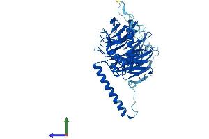 AlphaFold protein structure predicition of Human Recombinant DCAF13 Protein, UniprotID Q9NV06