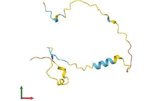 AlphaFold protein structure predicition of Mouse Recombinant Prr15l Protein, UniprotID Q8JZM2