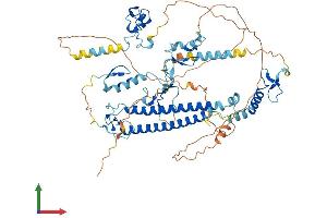 Protein Structure (PS) image for CXXC Finger Protein 1 (CXXC1) (AA 1-660) protein (His tag) (ABIN7560692)